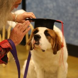 photograph by PeterW